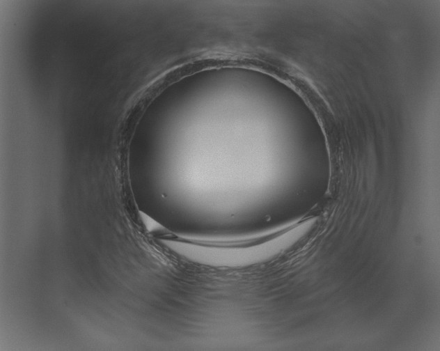 X0000073421304200608181110