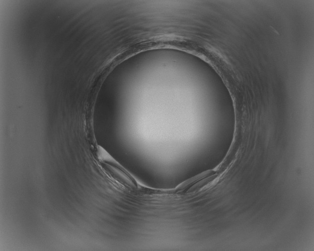 X0000073421305200608181110