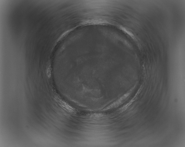 X0000073421306200608181111