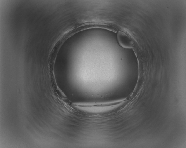 X0000073421307200608181111