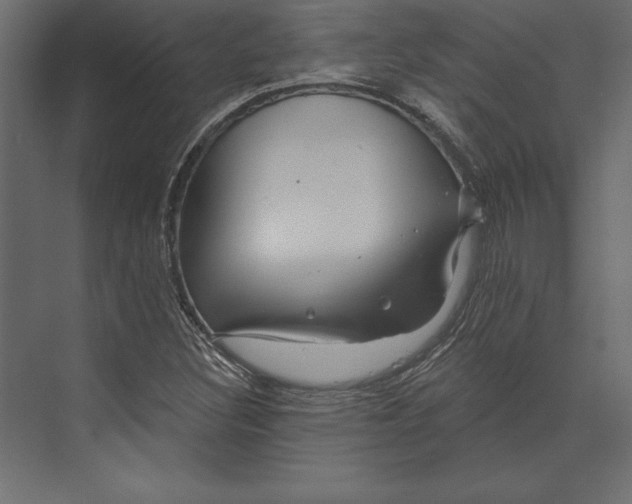 X0000073421308200608181111