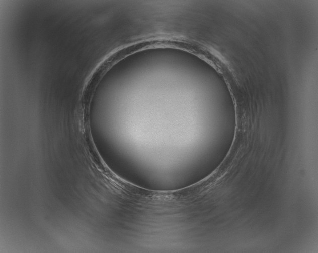 X0000073421310200608181111