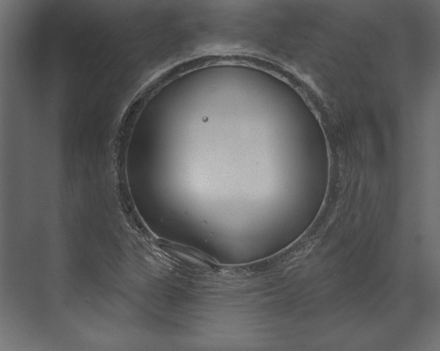 X0000073421311200608181111