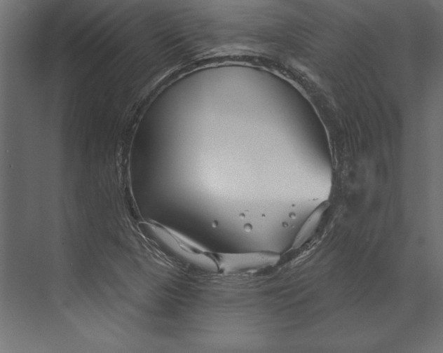 X0000073421313200608181111