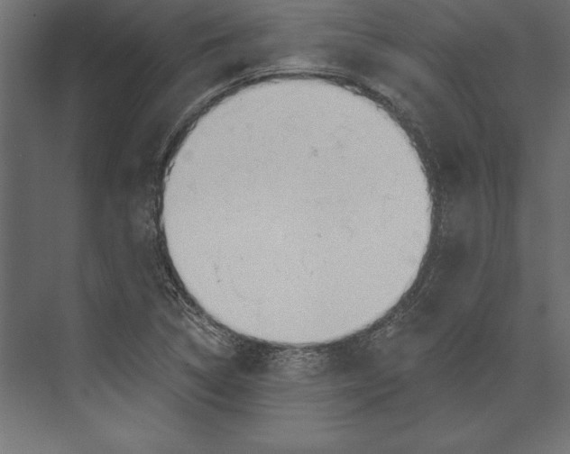 X0000073421314200608181111