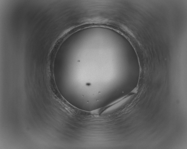 X0000073421315200608181111