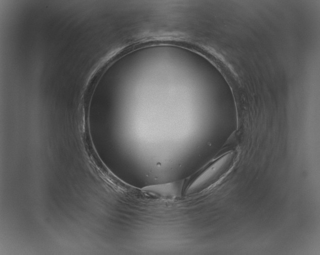 X0000073421317200608181111