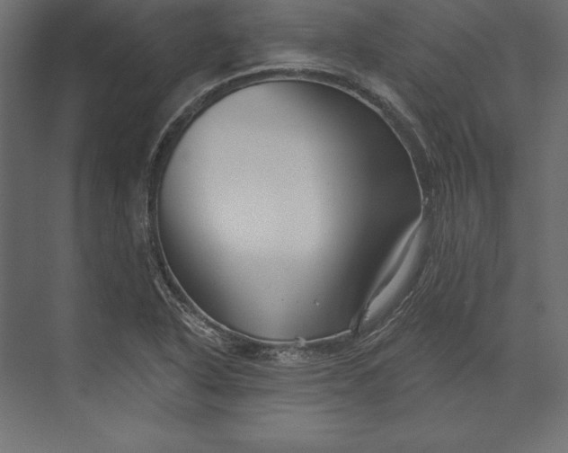 X0000073421318200608181111