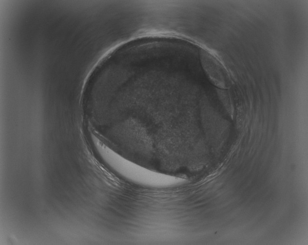 X0000073421319200608181111