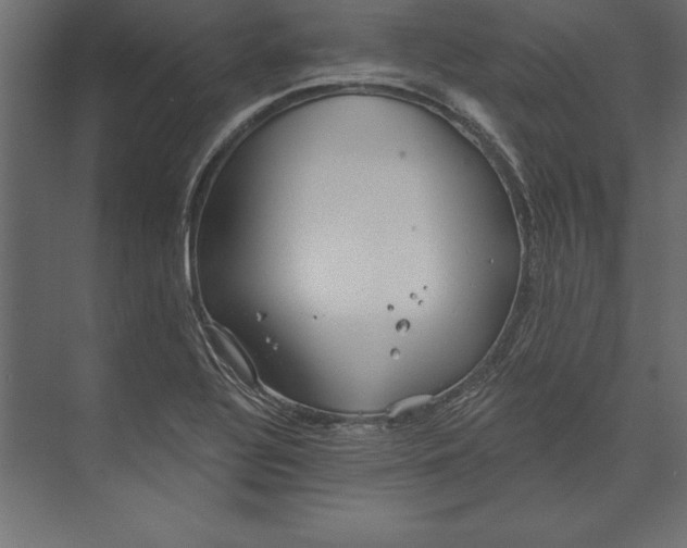 X0000073421320200608181111