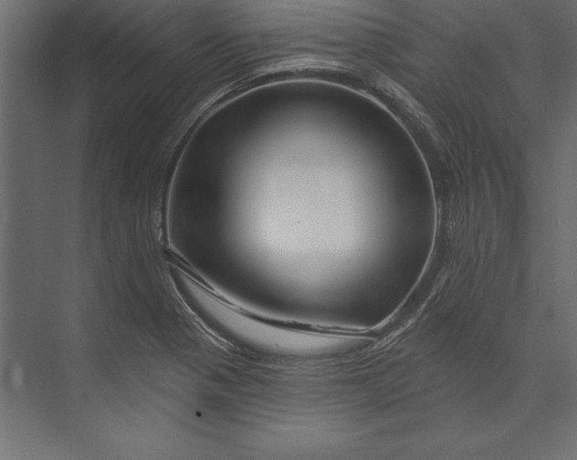 X0000073421321200608181111