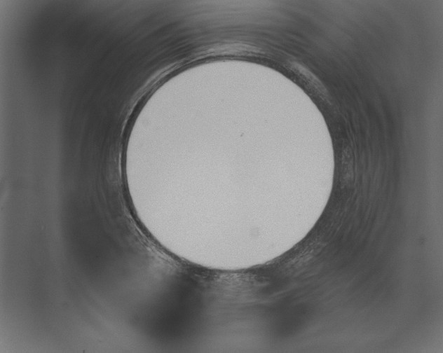 X0000073421322200608181111