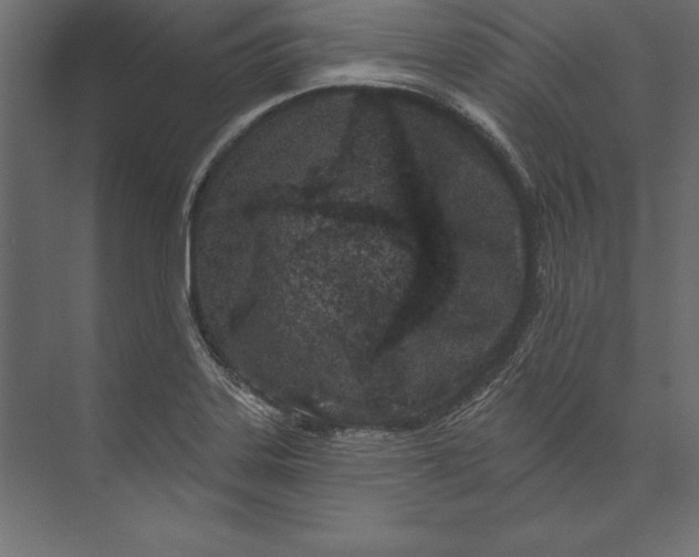 X0000073421323200608181111