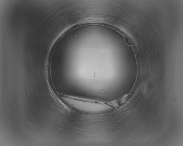 X0000073421325200608181111