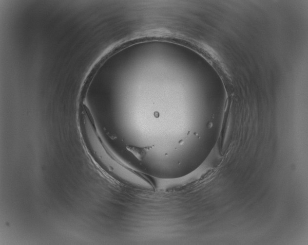 X0000073421326200608181111