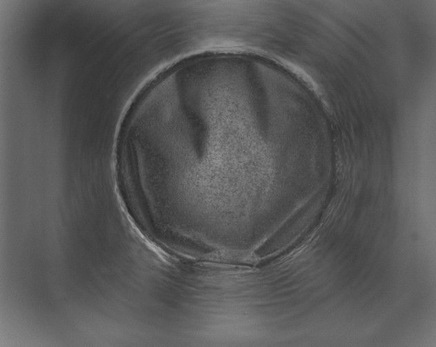 X0000073421327200608181111