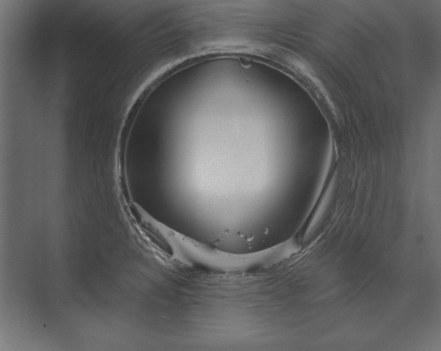 X0000073421328200608181111