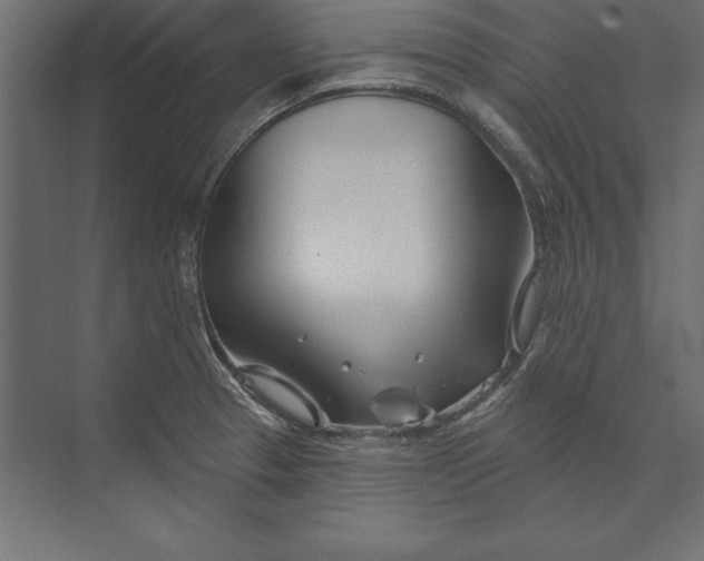 X0000073421329200608181111