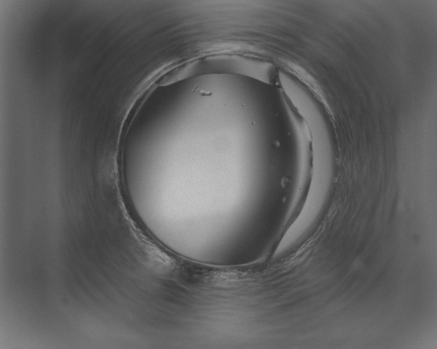 X0000073421330200608181111