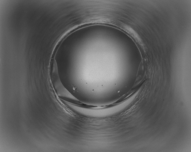 X0000073421332200608181111