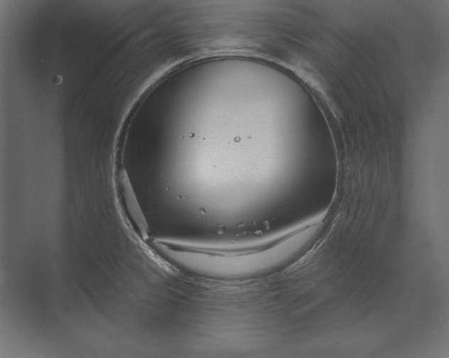 X0000073421333200608181111