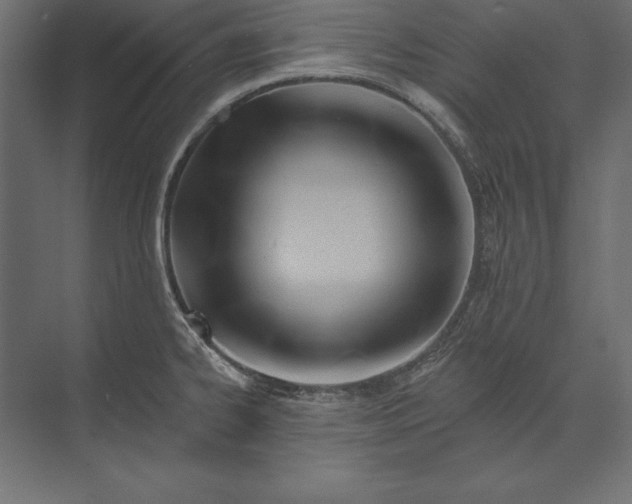 X0000073421334200608181111