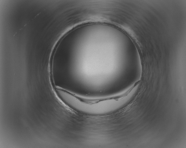 X0000073421335200608181111