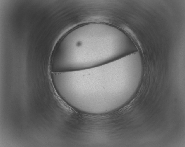 X0000073421336200608181111