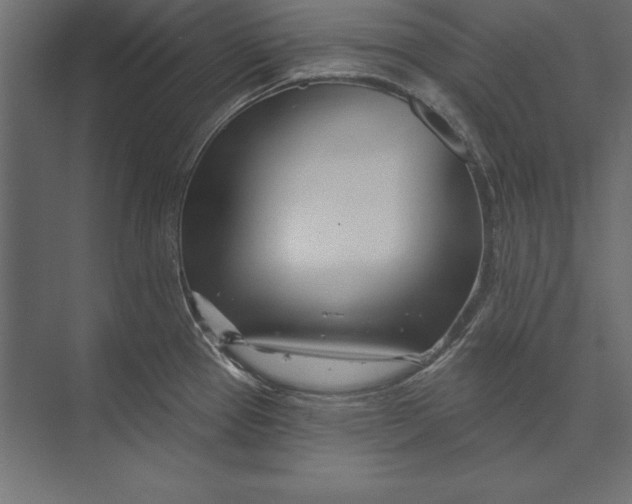 X0000073421337200608181111