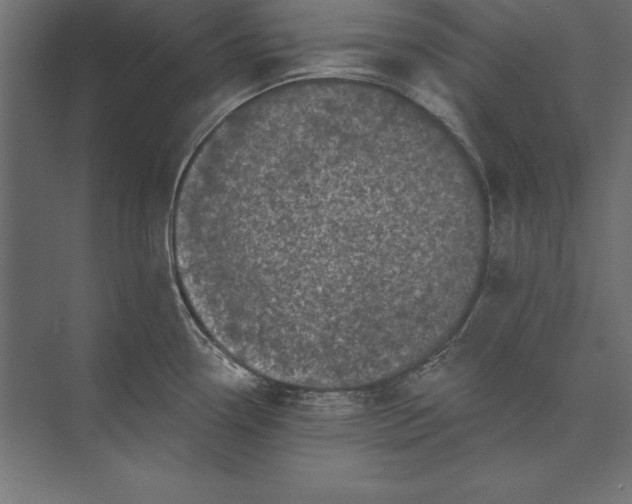 X0000073421338200608181111