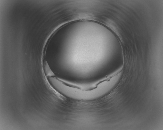 X0000073421339200608181111