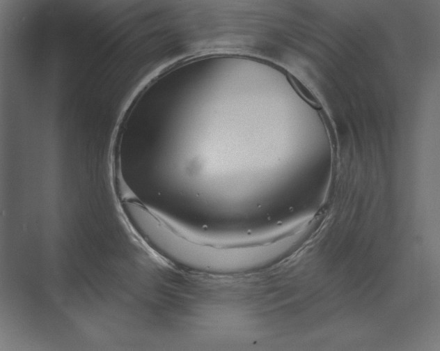 X0000073421341200608181111