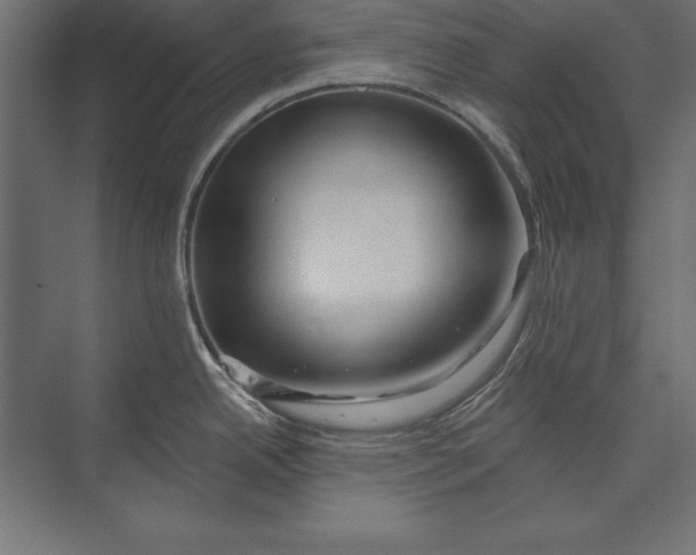 X0000073421342200608181111