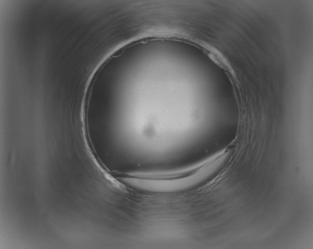 X0000073421343200608181111