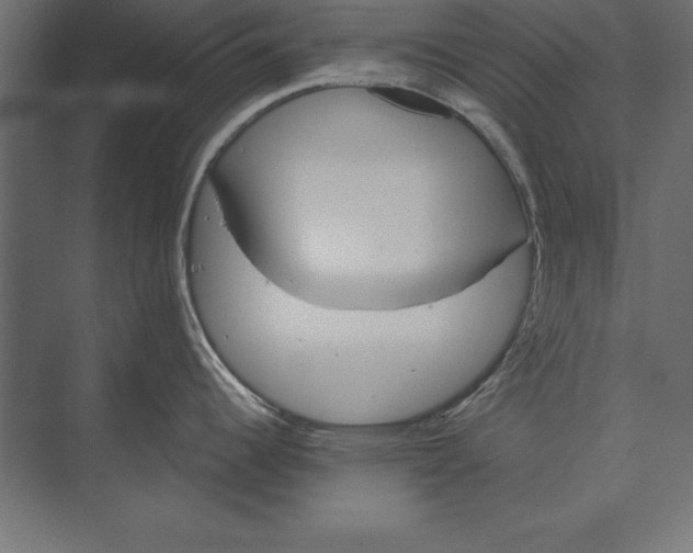 X0000073421344200608181111