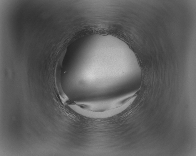 X0000073421345200608181110