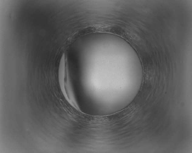 X0000073421346200608181110