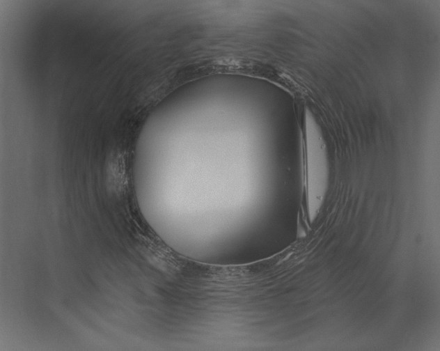 X0000073421347200608181110