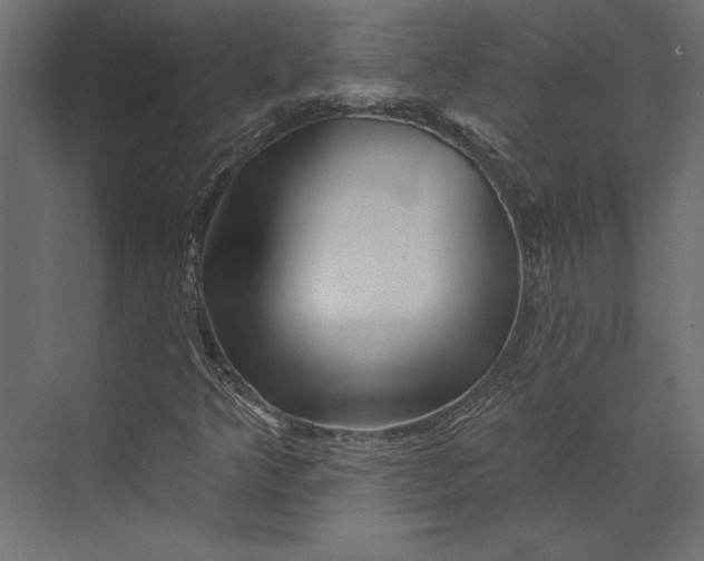 X0000073421349200608181110