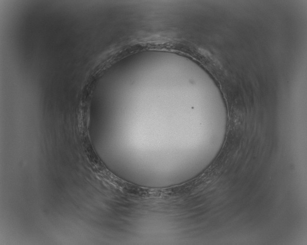 X0000073421350200608181110