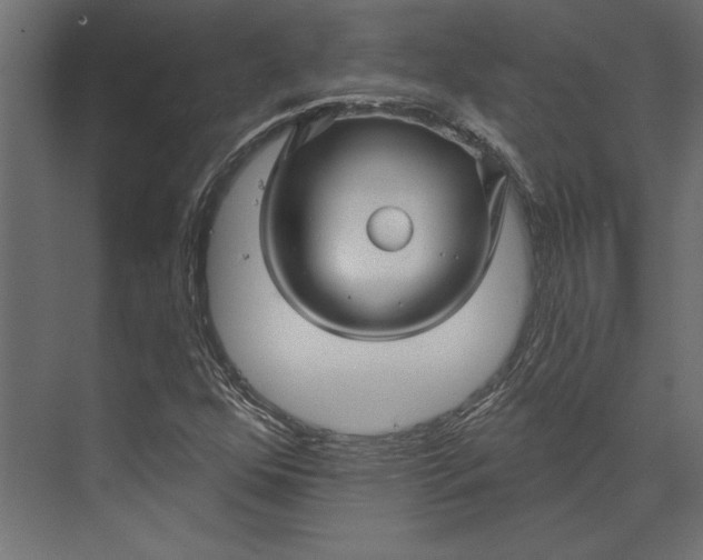 X0000073421352200608181110