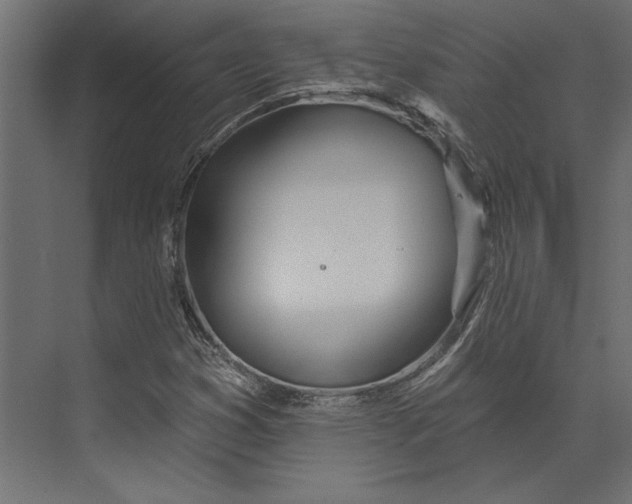 X0000073421353200608181110