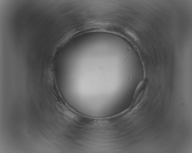 X0000073421354200608181110