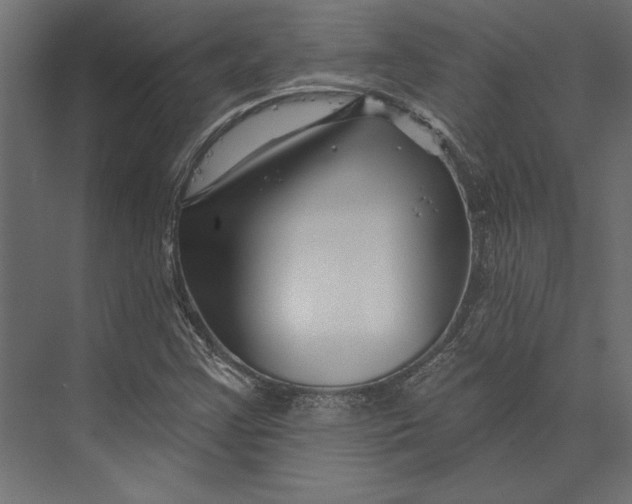 X0000073421355200608181110