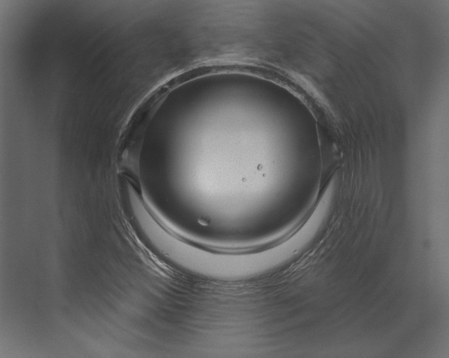 X0000073421356200608181110