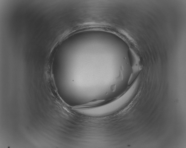 X0000073421357200608181110