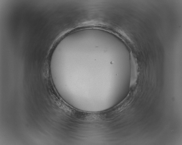 X0000073421358200608181110