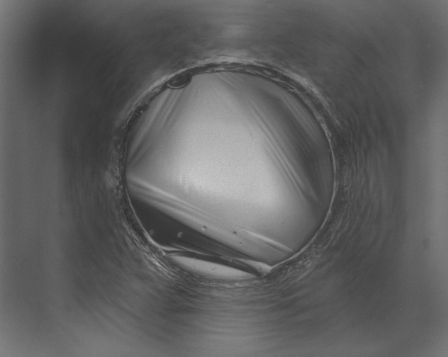 X0000073421359200608181110