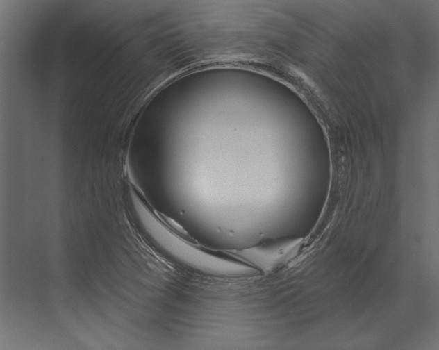 X0000073421361200608181110