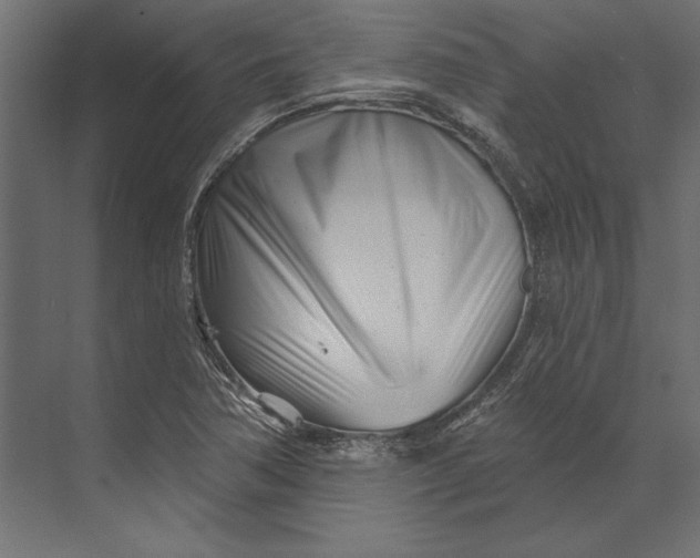 X0000073421362200608181110